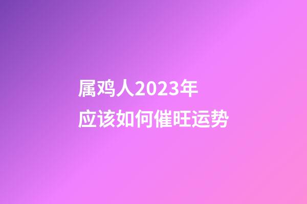 属鸡人2023年应该如何催旺运势