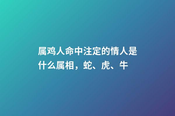 属鸡人命中注定的情人是什么属相，蛇、虎、牛