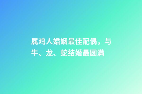 属鸡人婚姻最佳配偶，与牛、龙、蛇结婚最圆满