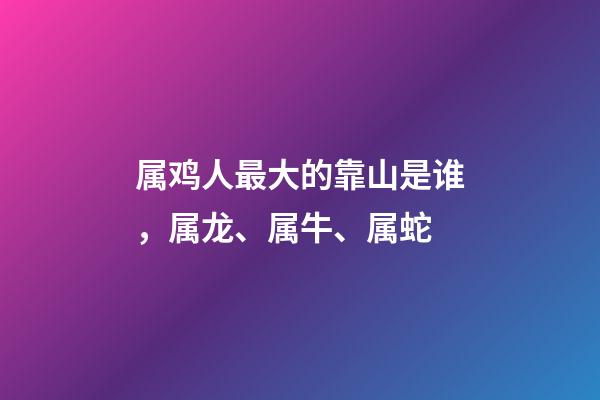 属鸡人最大的靠山是谁，属龙、属牛、属蛇