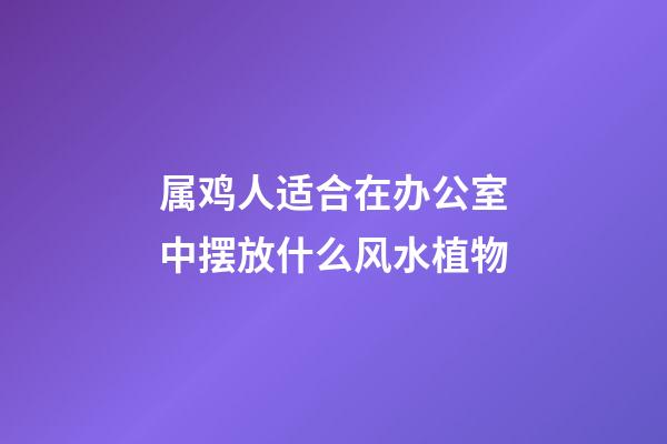 属鸡人适合在办公室中摆放什么风水植物