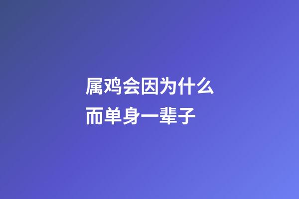属鸡会因为什么而单身一辈子