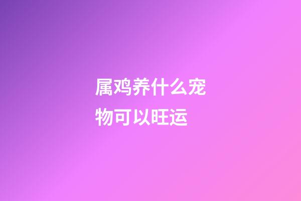 属鸡养什么宠物可以旺运