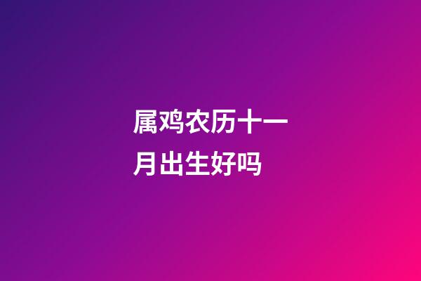 属鸡农历十一月出生好吗
