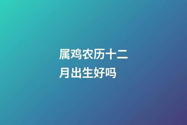 属鸡农历十二月出生好吗