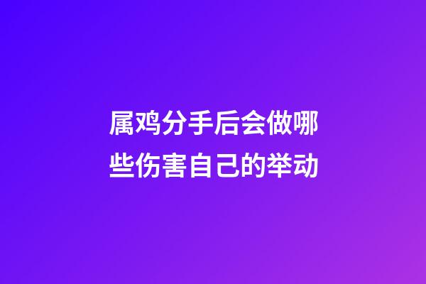 属鸡分手后会做哪些伤害自己的举动