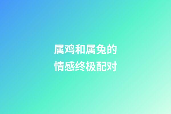 属鸡和属兔的情感终极配对