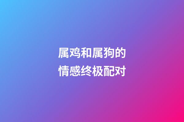 属鸡和属狗的情感终极配对