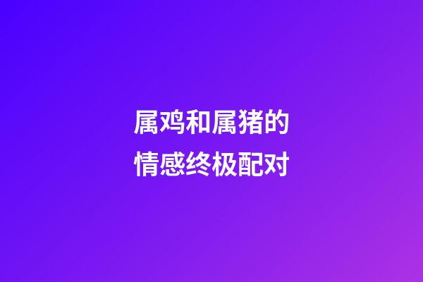 属鸡和属猪的情感终极配对