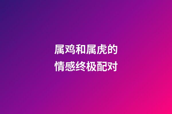 属鸡和属虎的情感终极配对