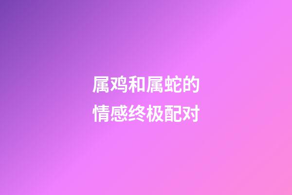 属鸡和属蛇的情感终极配对