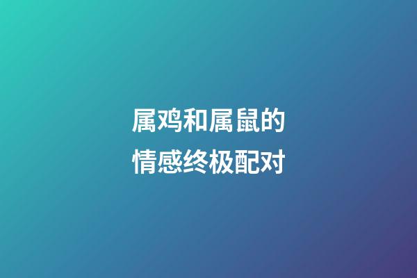 属鸡和属鼠的情感终极配对