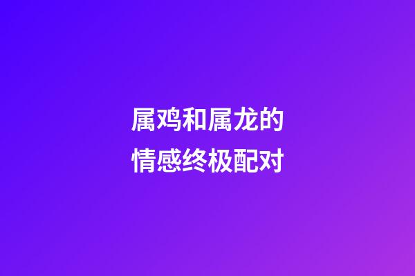 属鸡和属龙的情感终极配对