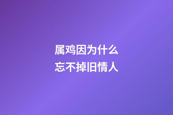 属鸡因为什么忘不掉旧情人