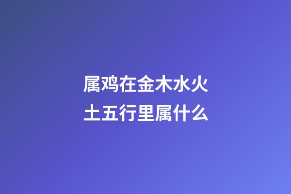 属鸡在金木水火土五行里属什么