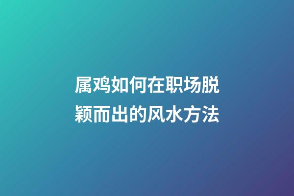 属鸡如何在职场脱颖而出的风水方法