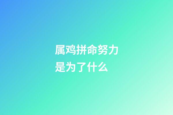 属鸡拼命努力是为了什么