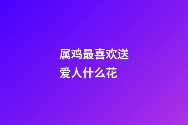 属鸡最喜欢送爱人什么花