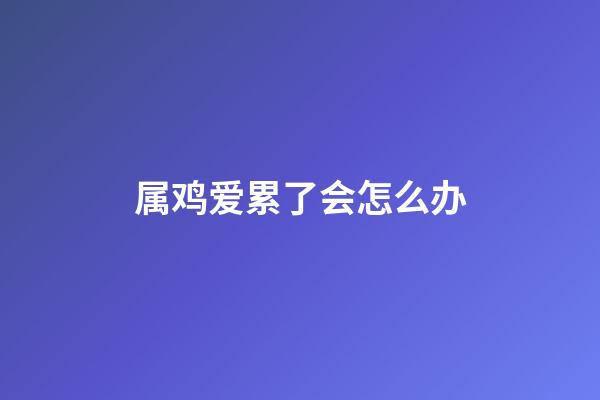 属鸡爱累了会怎么办