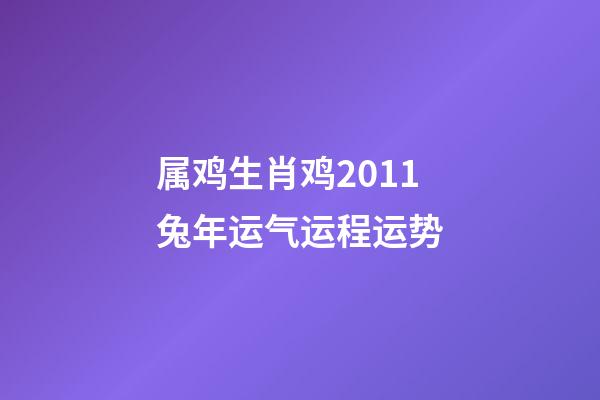 属鸡生肖鸡2011兔年运气运程运势