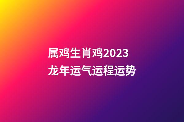 属鸡生肖鸡2023龙年运气运程运势