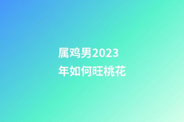 属鸡男2023年如何旺桃花