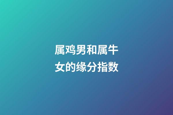 属鸡男和属牛女的缘分指数