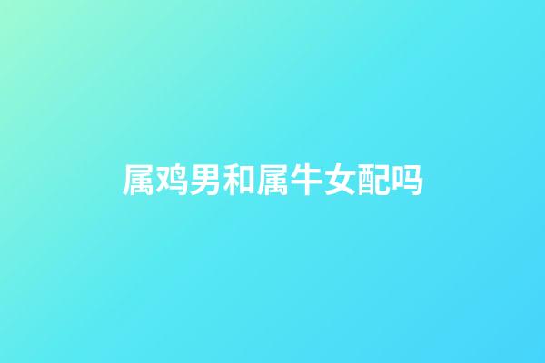 属鸡男和属牛女配吗
