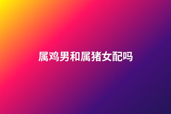 属鸡男和属猪女配吗