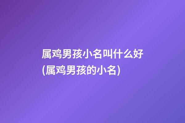 属鸡男孩小名叫什么好(属鸡男孩的小名)