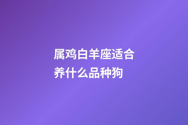 属鸡白羊座适合养什么品种狗