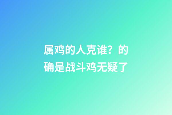 属鸡的人克谁？的确是战斗鸡无疑了