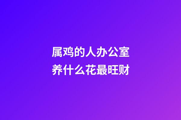 属鸡的人办公室养什么花最旺财