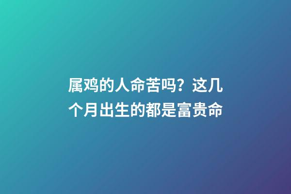 属鸡的人命苦吗？这几个月出生的都是富贵命