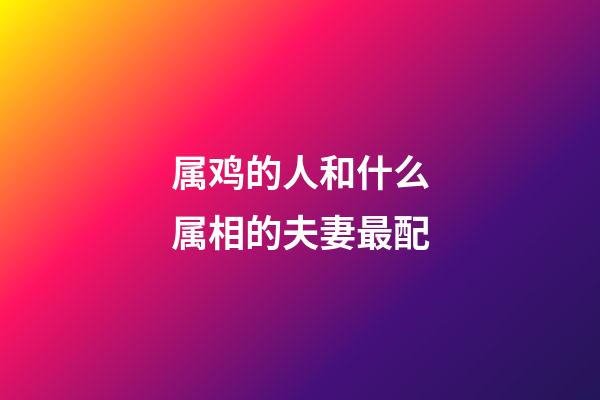 属鸡的人和什么属相的夫妻最配