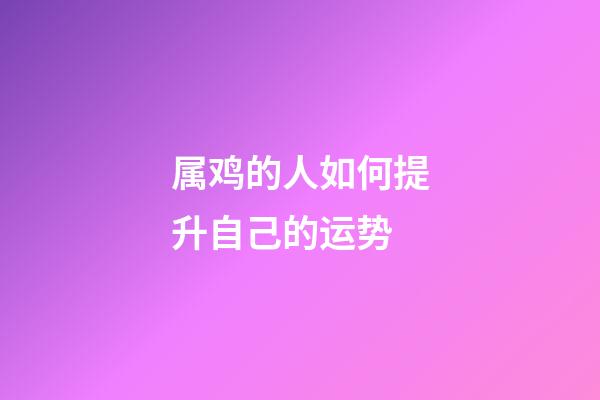 属鸡的人如何提升自己的运势