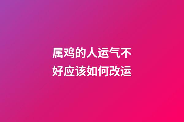 属鸡的人运气不好应该如何改运