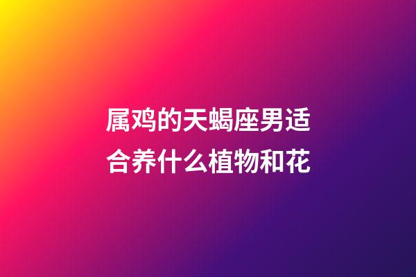 属鸡的天蝎座男适合养什么植物和花