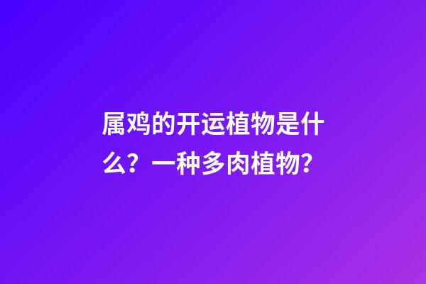 属鸡的开运植物是什么？一种多肉植物？