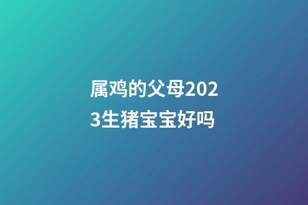 属鸡的父母2023生猪宝宝好吗
