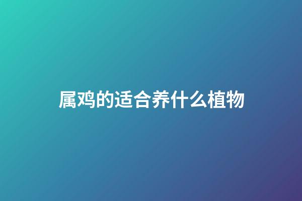 属鸡的适合养什么植物