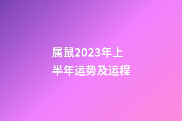 属鼠2023年上半年运势及运程