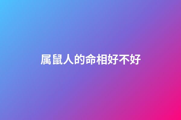 属鼠人的命相好不好