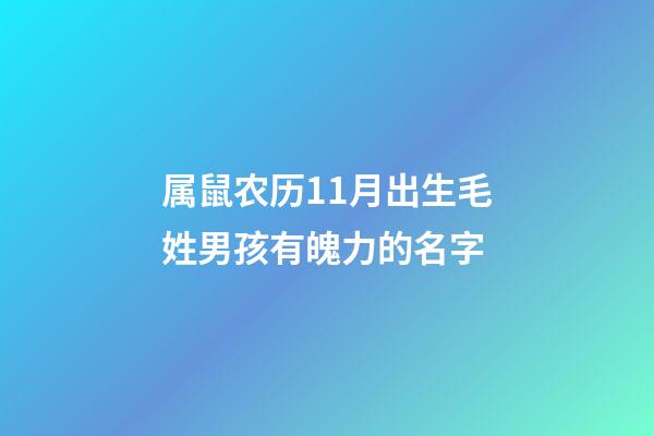 属鼠农历11月出生毛姓男孩有魄力的名字
