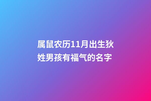 属鼠农历11月出生狄姓男孩有福气的名字