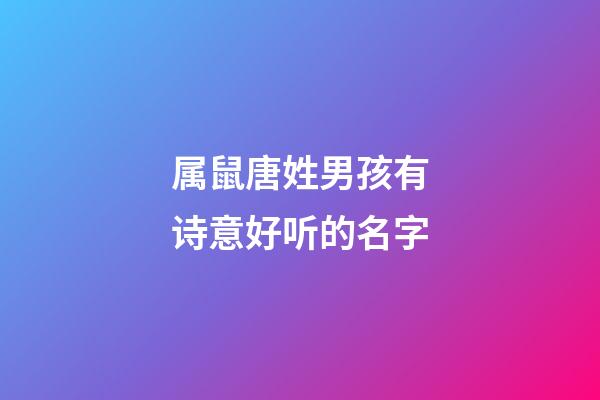 属鼠唐姓男孩有诗意好听的名字