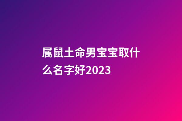 属鼠土命男宝宝取什么名字好2023