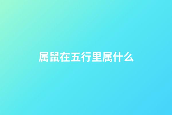 属鼠在五行里属什么