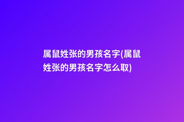属鼠姓张的男孩名字(属鼠姓张的男孩名字怎么取)