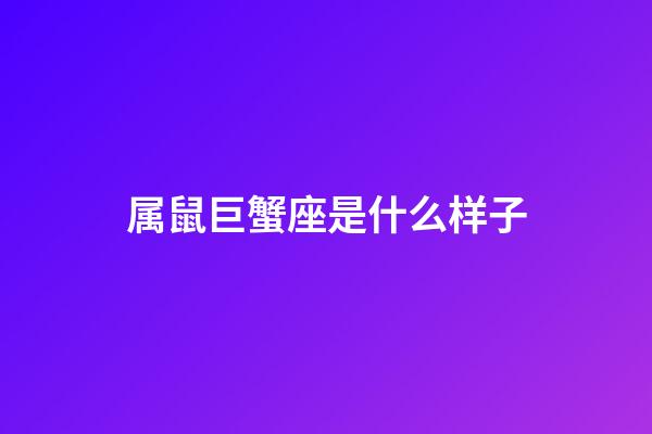 属鼠巨蟹座是什么样子-第1张-星座运势-玄机派